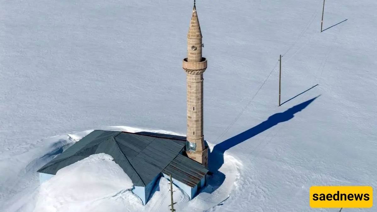 Spring Snowfall In Turkey