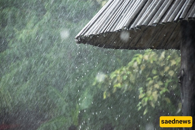 rain