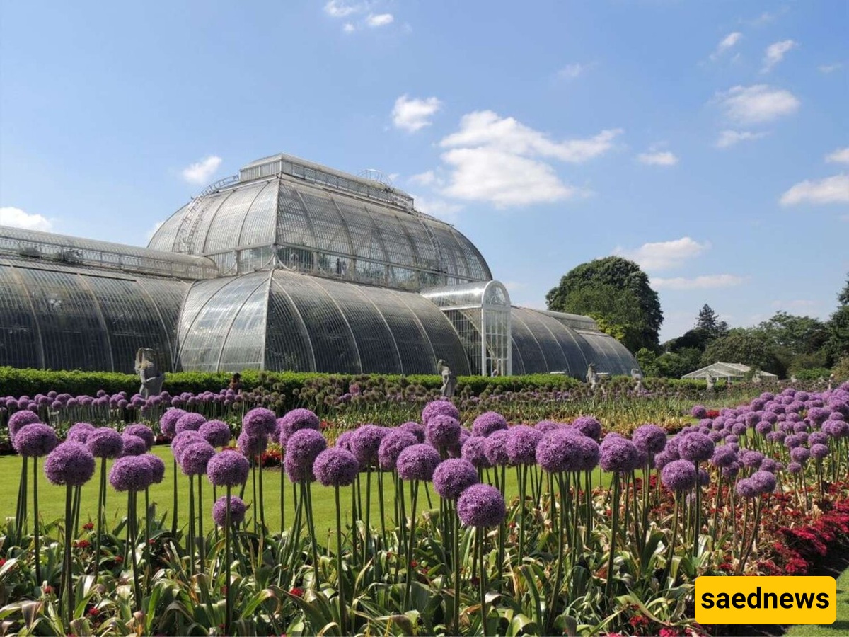 glasshouse 