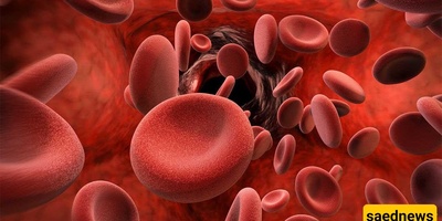 The Best Foods for People with Minor Thalassemia