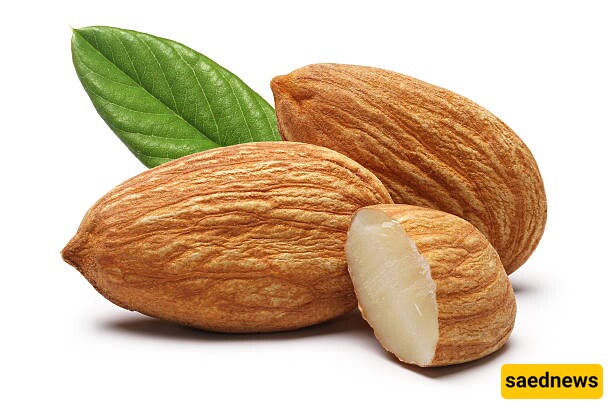 Almond