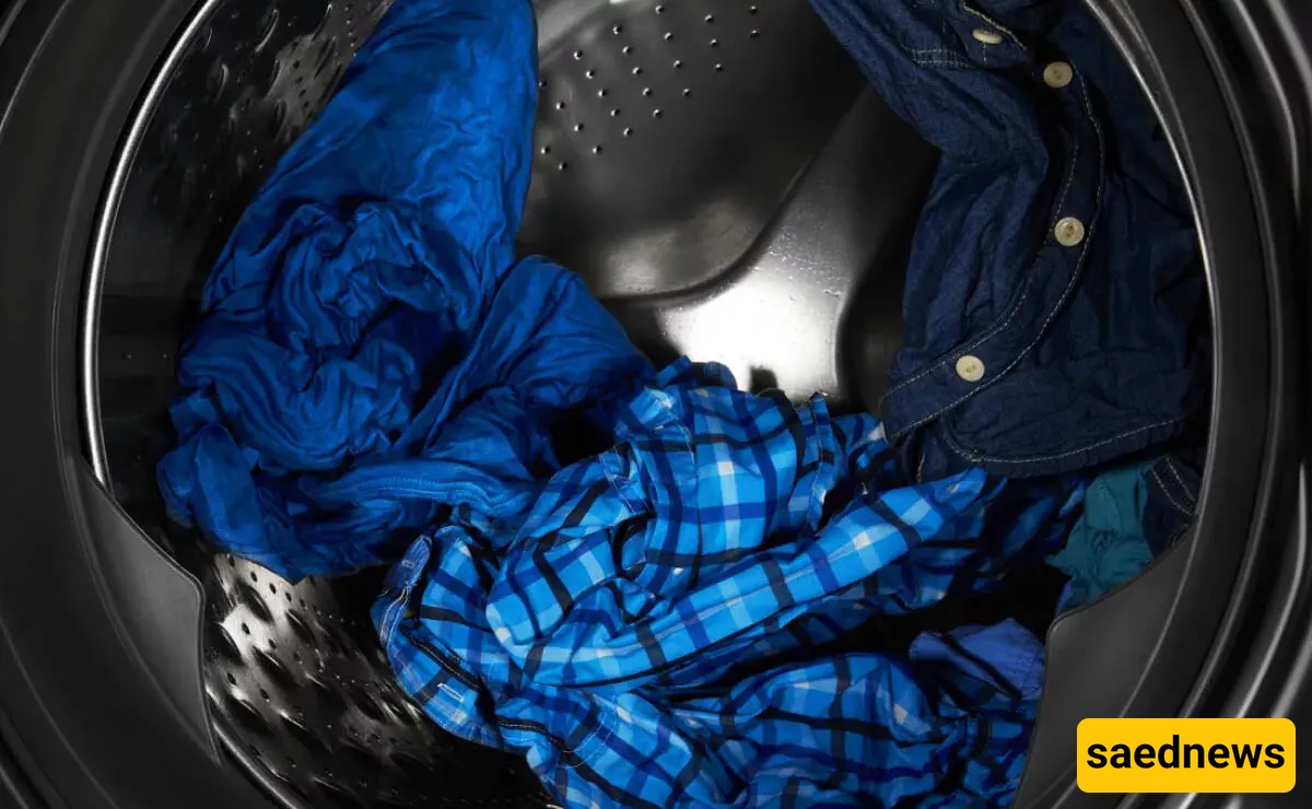 clothes