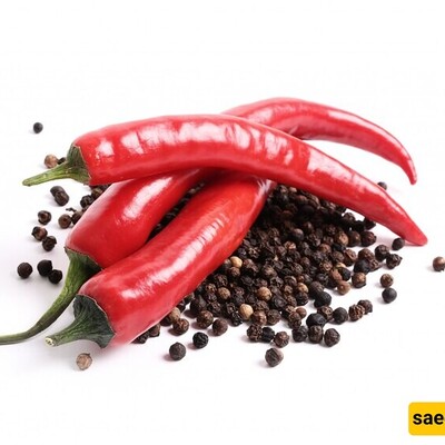 Buying High-Quality Indian Red Pepper at a Reasonable Price