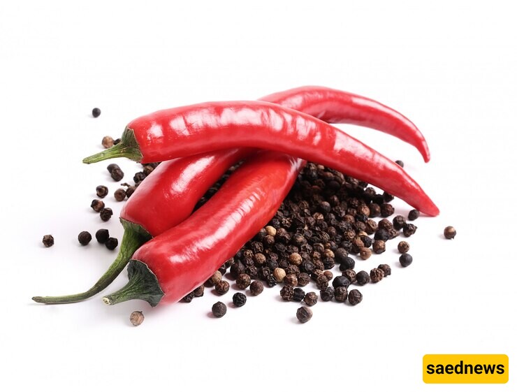 Buying High-Quality Indian Red Pepper at a Reasonable Price