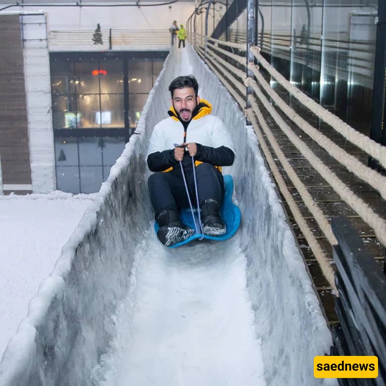 Penguin Snow Park, kish