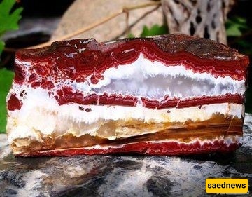 Edible Stones