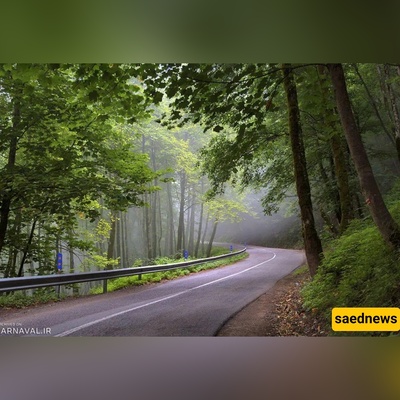 Dalekhani Forest in Ramsar, Iran: An Enchanted Misty Retreat in the Heart of the Alborz Mountains