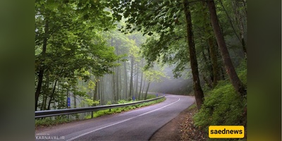 Dalekhani Forest in Ramsar, Iran: An Enchanted Misty Retreat in the Heart of the Alborz Mountains