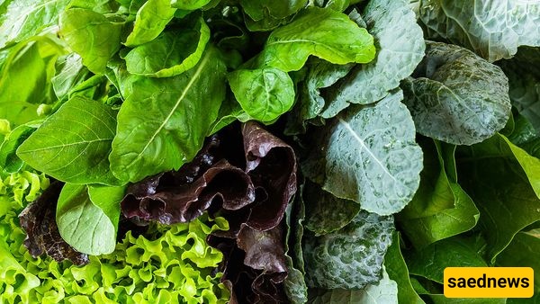 Vegetables
