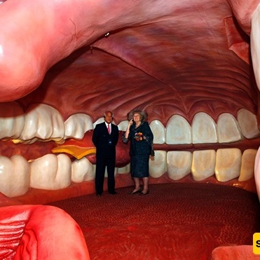 An Amazing Journey Inside the Human Body