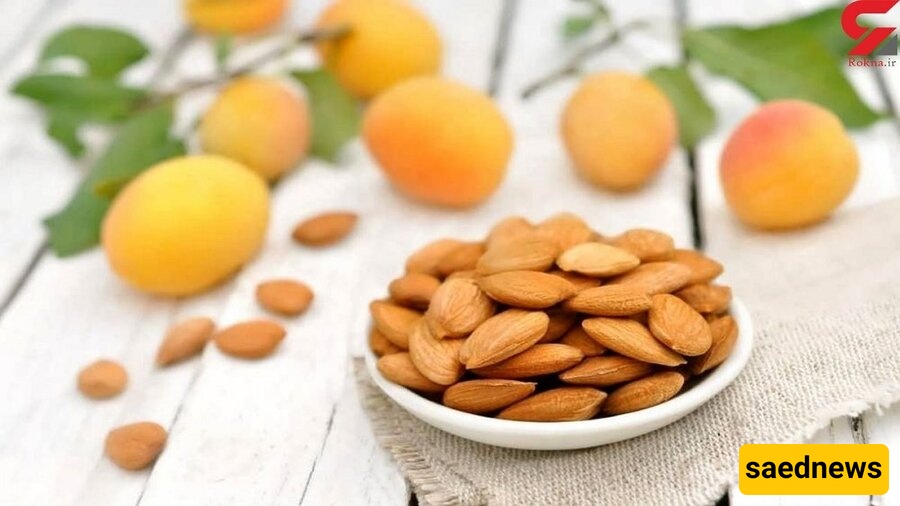Apricot seeds