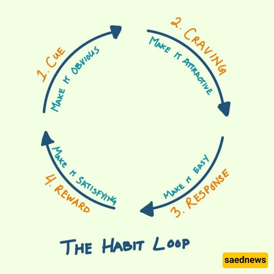 habit loop