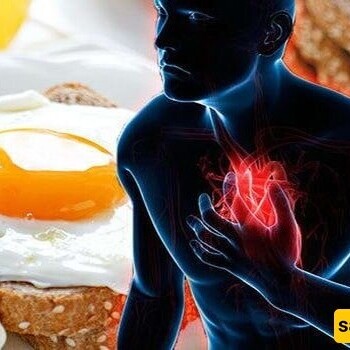 Does The Cholesterol In Eggs Cause Heart Disease?