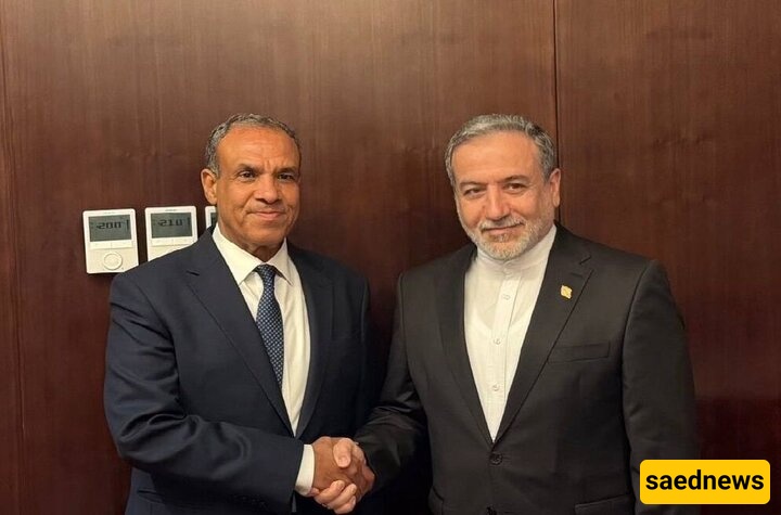 Iran, Egypt FMs Hold Meeting on Regional Developments