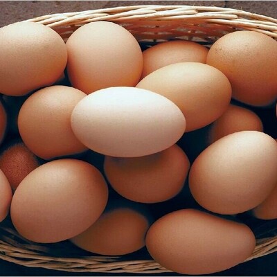 The Benefits and Importance of Eggs