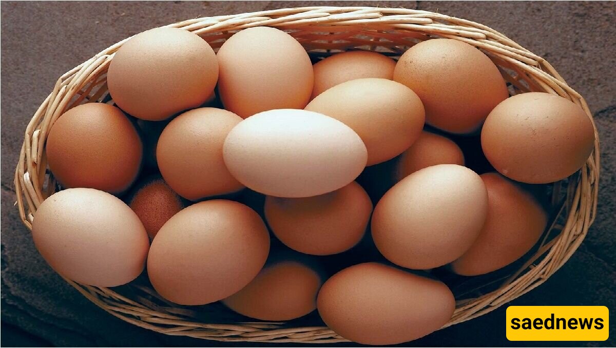 The Benefits and Importance of Eggs