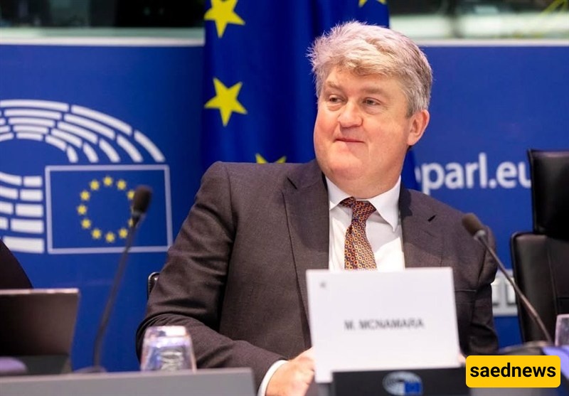 Iranian Spokesman Praises Irish MEP for Condemning Israeli Crimes