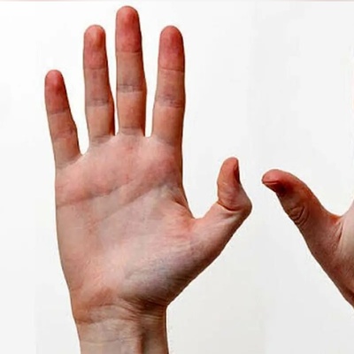 Reason For Right-Handedness In Humans Discovered