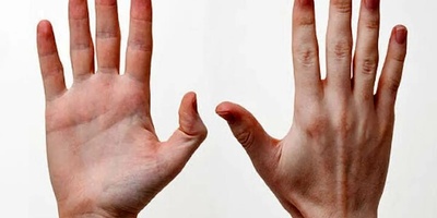 Reason For Right-Handedness In Humans Discovered
