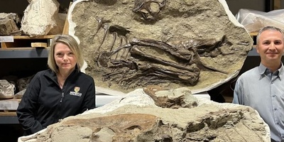 The Last Meal of This Dinosaur Was Discovered Inside Its Fossil After 75 Million Years