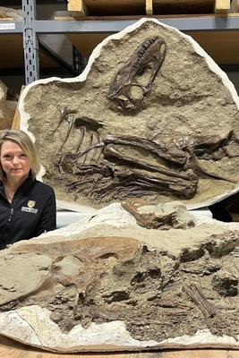 The Last Meal of This Dinosaur Was Discovered Inside Its Fossil After 75 Million Years