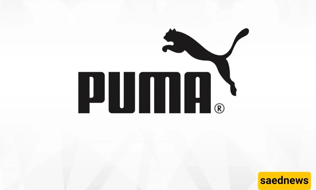 The History of Puma: How a Family Feud Became a Sports Empire