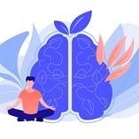 Scientific Methods to Calm the Mind and Boost Memory