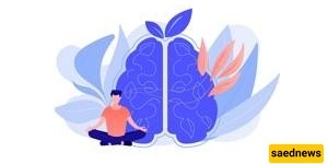 Scientific Methods to Calm the Mind and Boost Memory