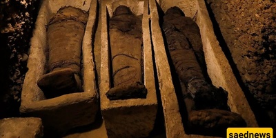 Amazing Discovery: 3 Wealthy Ancient Egyptian Mummies Unearthed
