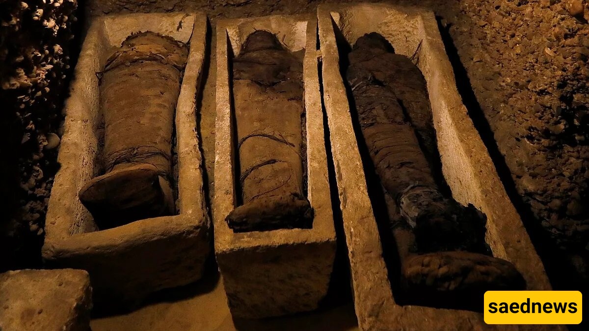 Amazing Discovery: 3 Wealthy Ancient Egyptian Mummies Unearthed