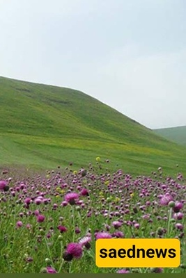 Moghan Plain Is A Must Seen Place in Ardabil!