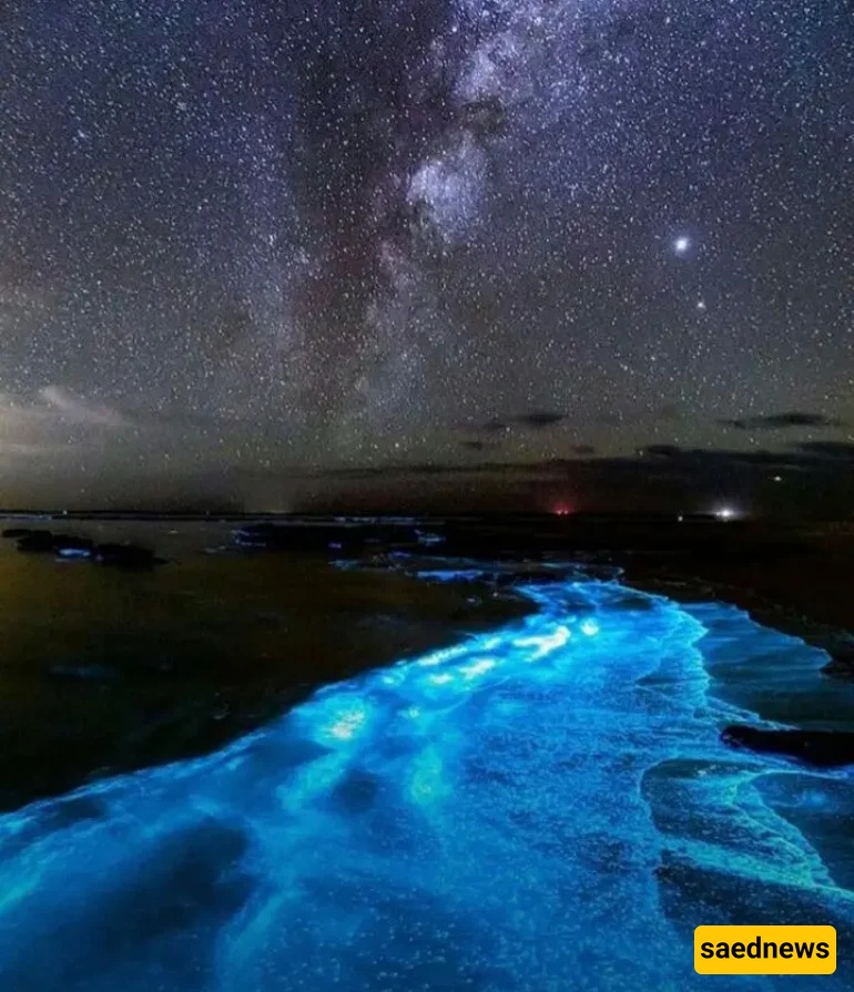 Silver Beach, Qeshm