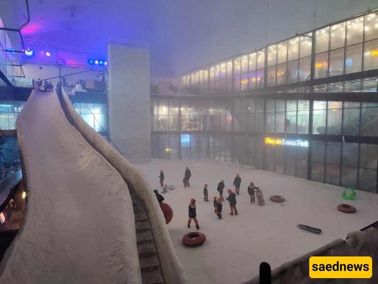 Penguin Snow Park, kish