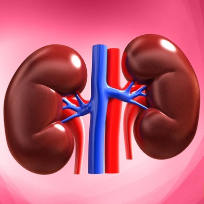 4 Foods That May Harm Your Kidneys