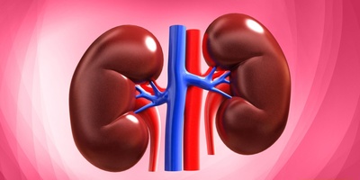 4 Foods That May Harm Your Kidneys