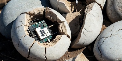 Details of the Discovery of a Spy Device Disguised as a Rock + Photo