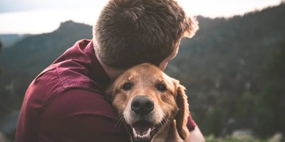 Why Do Some Pets Become More Attached to One Family Member?