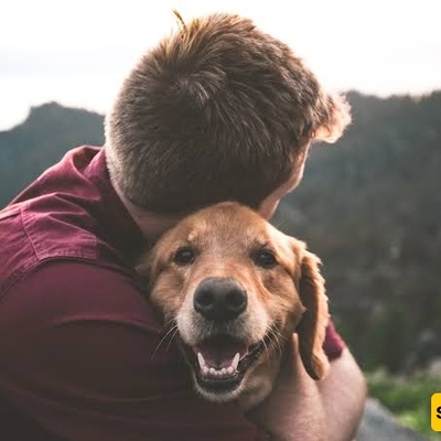 Why Do Some Pets Become More Attached to One Family Member?