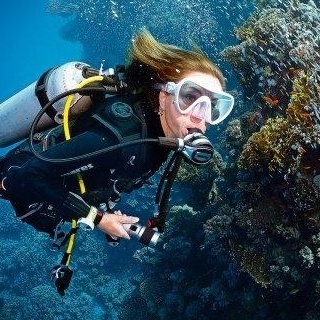 Ingenious Mexican Woman Shows Support for Gaza with Underwater Diving Art!
