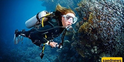Cool Creativity Of A Mexican Lady To Support The People Of Gaza In The Depths Of The Sea In The Style Of Divers!