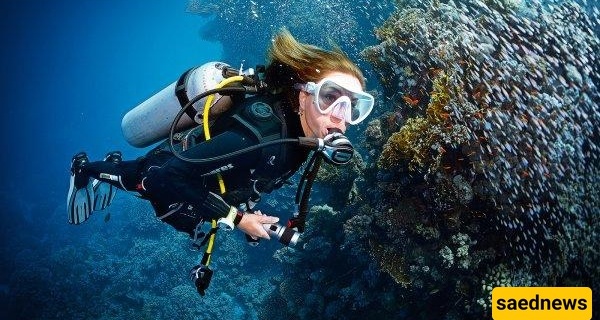 Cool Creativity Of A Mexican Lady To Support The People Of Gaza In The Depths Of The Sea In The Style Of Divers!