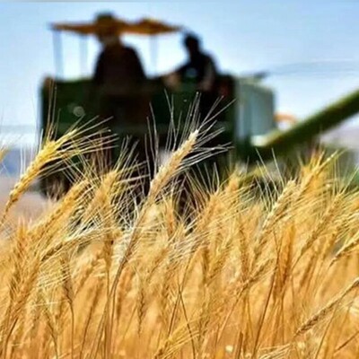 GIEWS Issues Analysis Highlighting Iran’s Food Security Situation