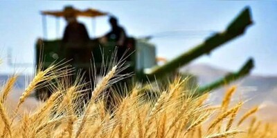GIEWS Issues Analysis Highlighting Iran’s Food Security Situation