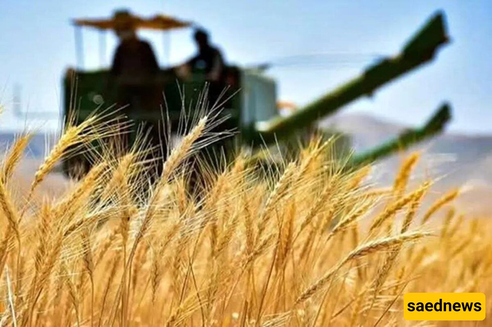 GIEWS Issues Analysis Highlighting Iran’s Food Security Situation