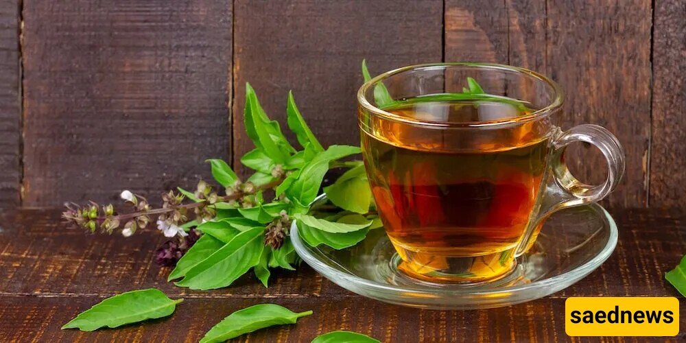 Basil Tea