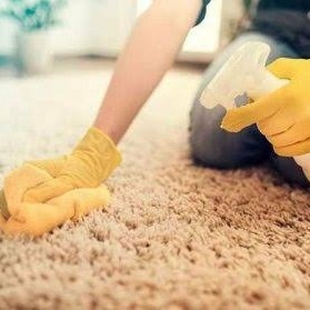 Is Using Carpet Shampoo a Mistake?