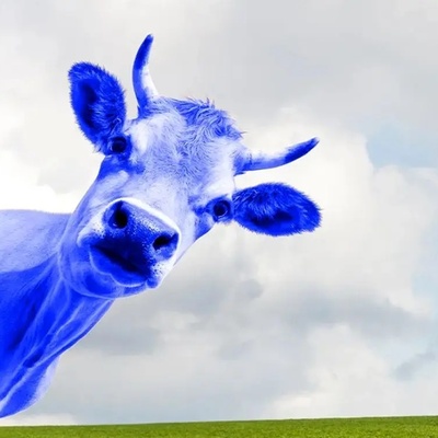 Is There A Blue-Colored Mammal?