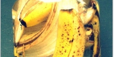 How to Make Fertilizer from Banana Peels to Multiply Plant Growth + Video