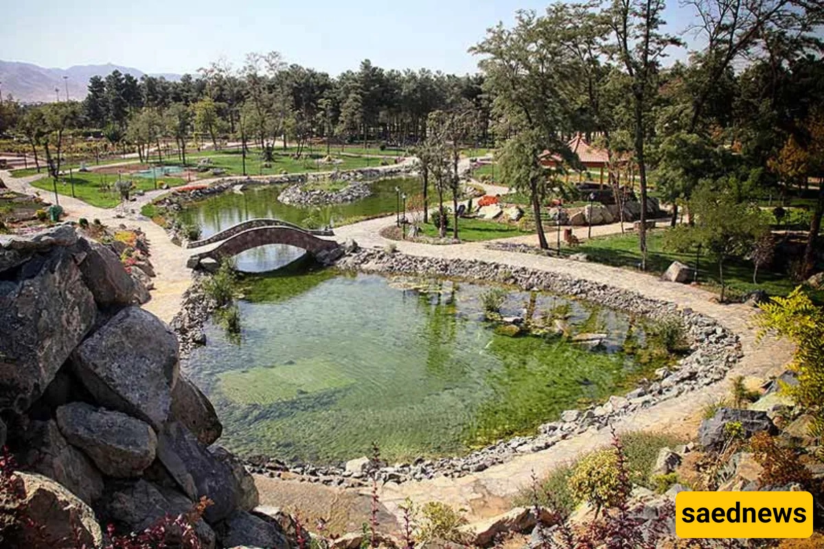 Rock Garden