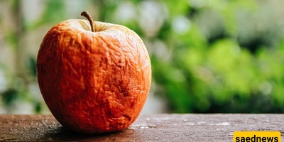 Why Do Some Apples Wrinkle So Quickly?